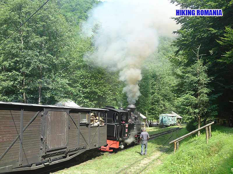 Romanian steam train