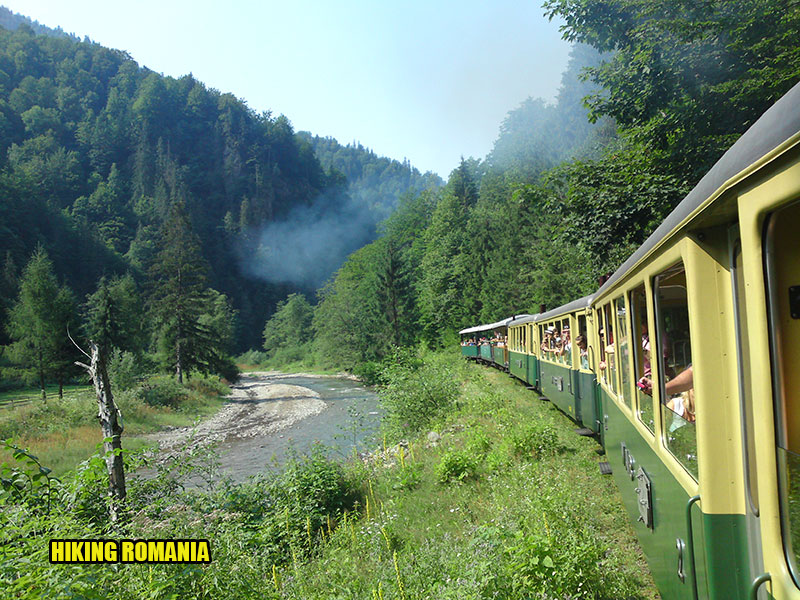 Romanian forest steam train