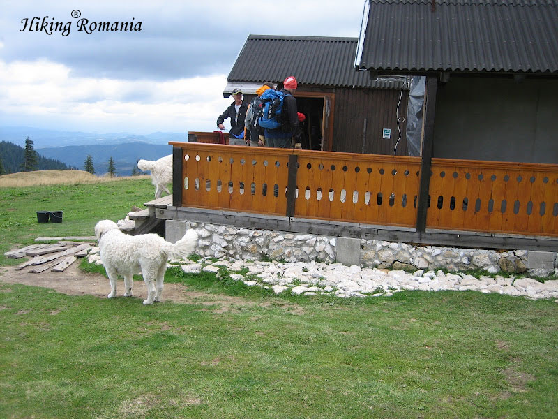 Holiday in Romania
